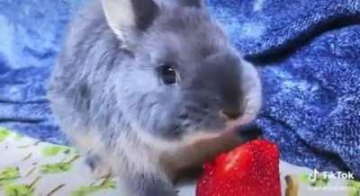 Here is my favorite video of all time, I watch it whenever I’m sad and it always makes me smile