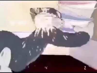 Pa apbot hahahahahaha