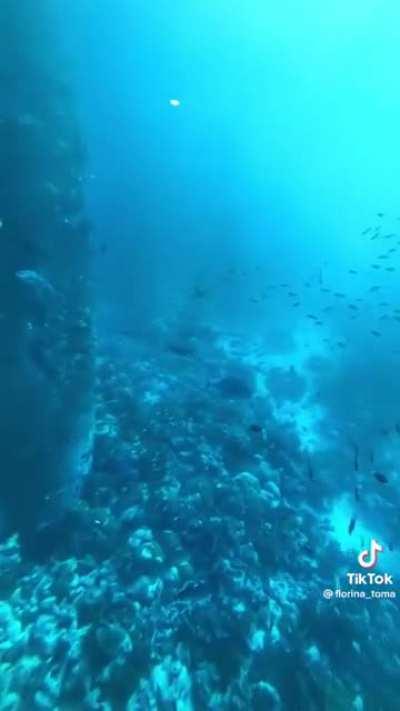 This underwater bathroom