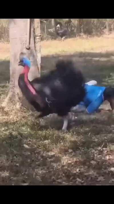 Those things got heavy, sharp claws