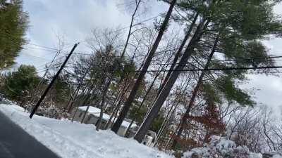 Anti masker/covid denier decided to confront me today.