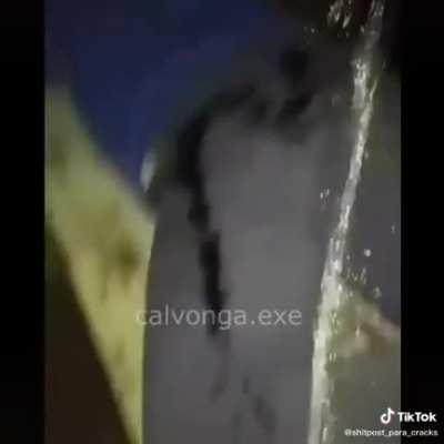 Que desperdicio de Coka de piña 😔👌👌