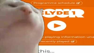 Oh boy, it's going to be a classic tonight!