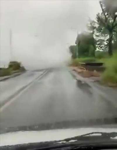 Driving through the fog