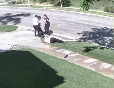 ... To walk the dog...