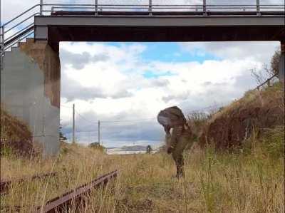 When a STALKER Glitches IRL