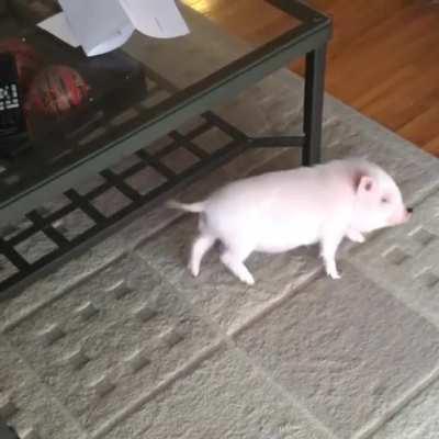 Aww yis! That’s the spot!