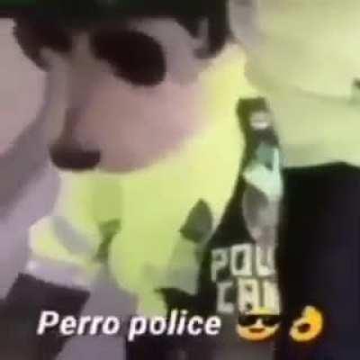 dogo policía B)
