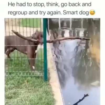 Rethink your way to success