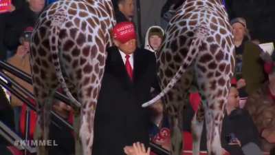 Dave Bautista explaining the GOP Presidential Candidate 