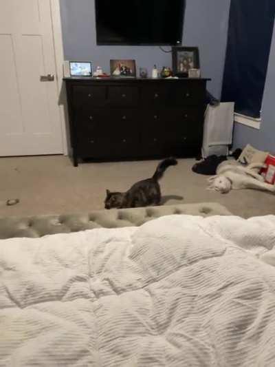 Cosmo had to check the vital signs of Eggsy