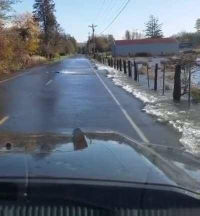 Why did the salmon cross the road?