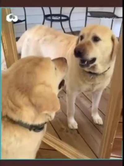 Now what kind of sorcery is this.