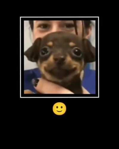 Just a treat between scrolling