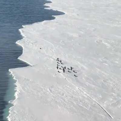 Lo logró, ese maldito hijo de perra lo logró.