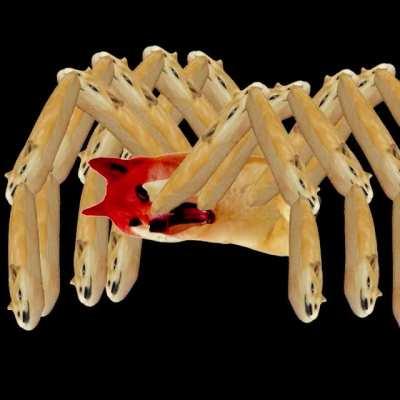 Le giant enemy spider has arrived