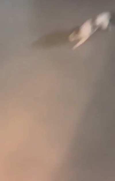 You won’t catch me