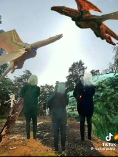 is this the dance of the dragons y’all are talking about?