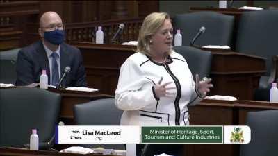 Conservative Lisa MacLeod goes BALLISTIC on St. Catharines NDP MPP Jennie Stevens, starts screaming at the top of her lungs