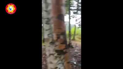 (August 2025; music from source) Dawei District Joint Forces (rebels) attack Tatmadaw junta forces in Palaw and Thayetchaung Townships, Myanmar (Burma)