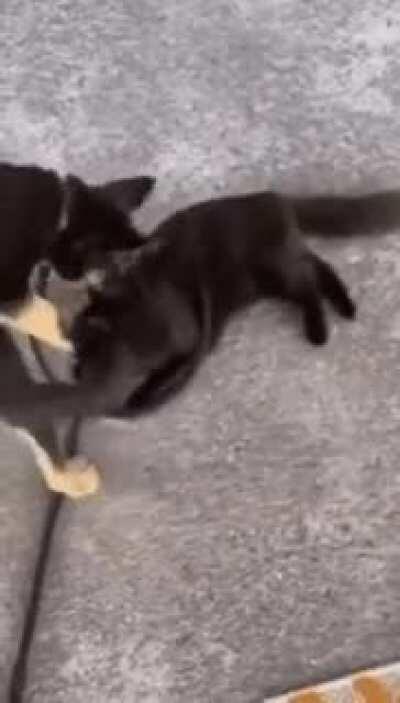 To make it discreet and friendly looking