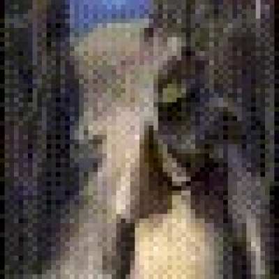 the entire Shrek movie in a gif