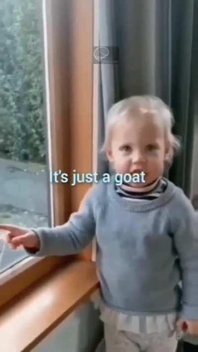 there is a f*cking goat outside