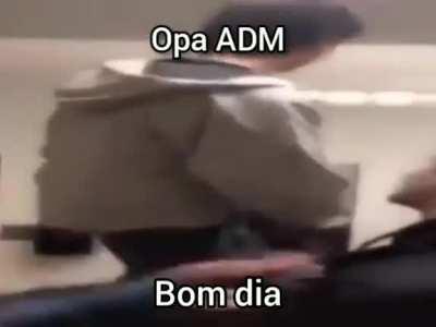 B o m d i a / B o a n o i t e