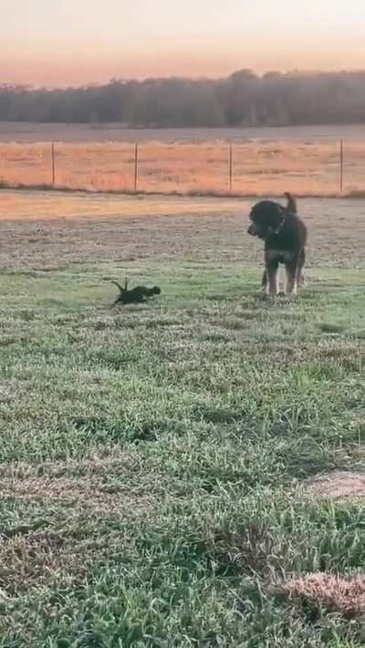 This will warm your heart.