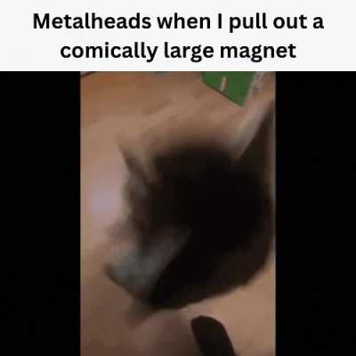 The real heavy metal