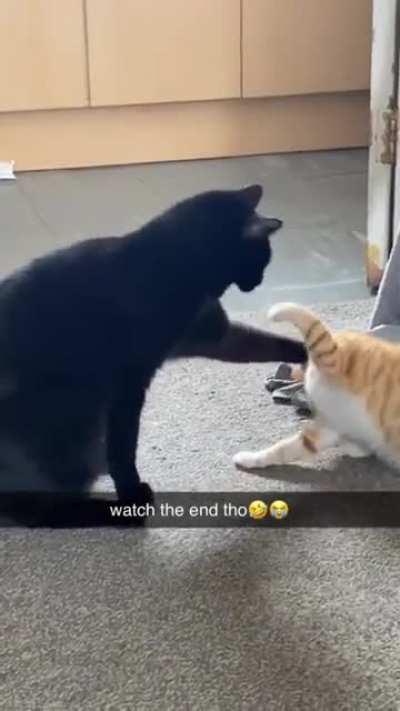 If You're bad, I'm Your Dad