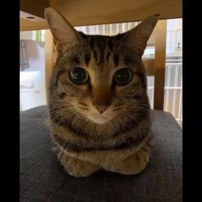 ⚠️ warning ⚠️ (scary‼️)