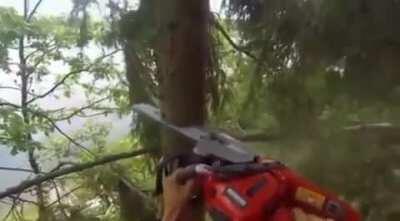 I thought this one was pretty good (OC)