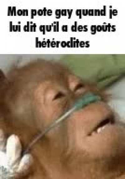 J'ai fait ce meme en 240p parce que