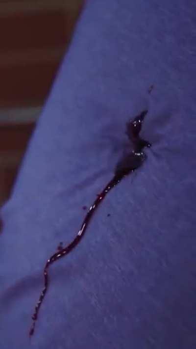 This clip has potential