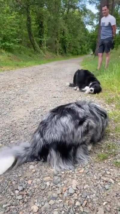 Best friends for life