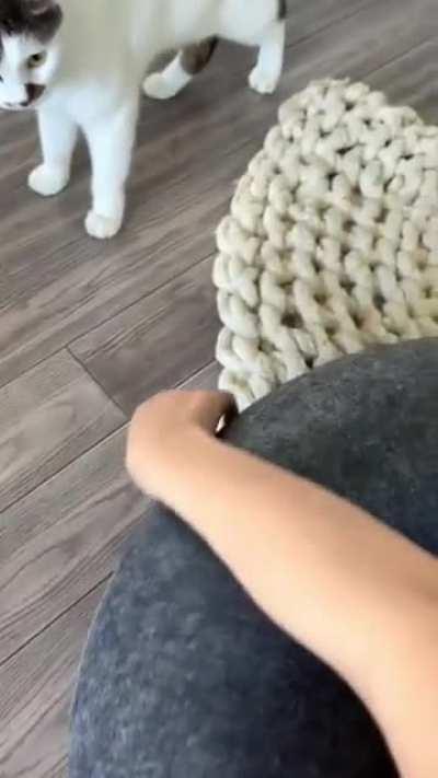 What are you doing in there?😂