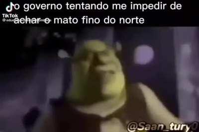 mi impidao