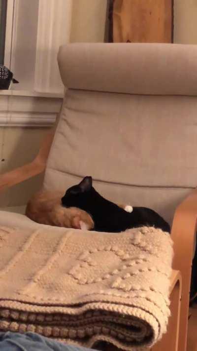 Mart being washed by his sister. Stinky boy