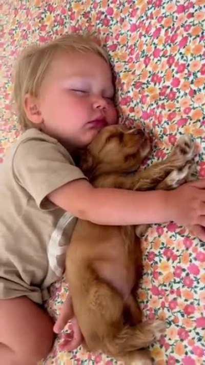 Pure love 🥰 🎶Adrian Berenguer•Little Things