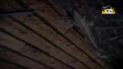 Compilation of Footage from the TIP (Turkestan Islamic Party) [ethnic Uyghur formation] in Syria (2019-2023)