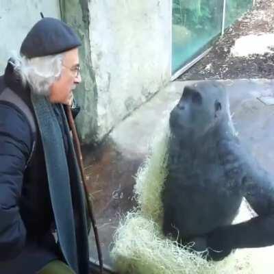 Rafael Negrão explicando o contrato da Nimo pro muca