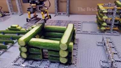 Is cucumber house interesting?