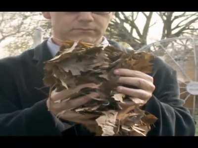 The only villain Spider-Man could not defeat- Sam Raimi himself.