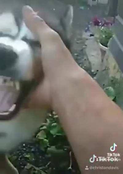 If anyone is looking for a lead singer for their death-metal band.