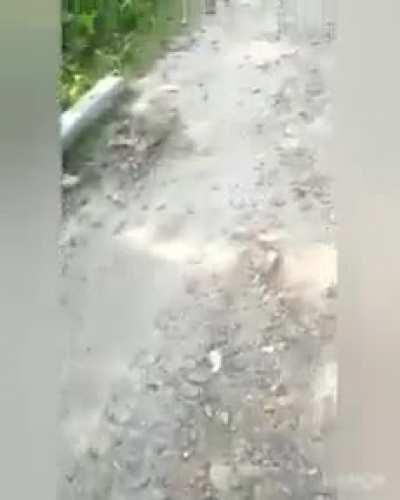 caught by social workers