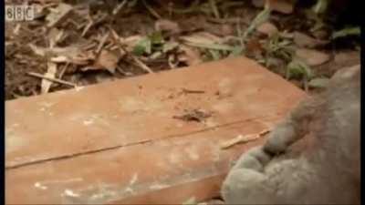 Chairman Cohen watching this sub.