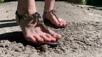 New video - 4:22 minutes of snail crushing 😍