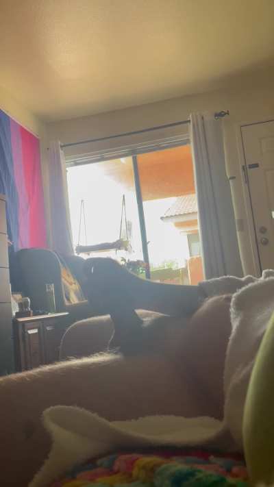 Can’t tell if she saw me