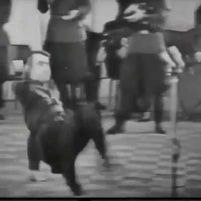 The Magic of the Internet